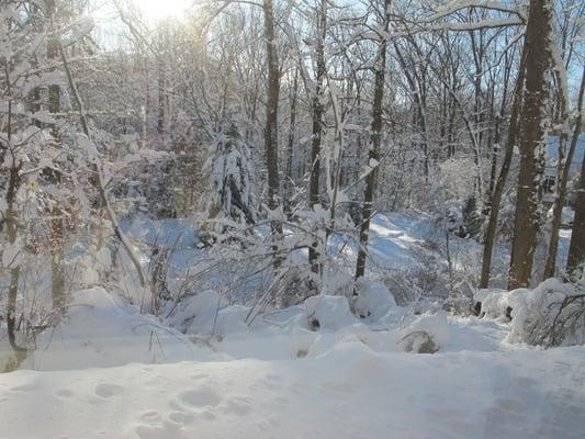 snow is the best decoration for Christmas!