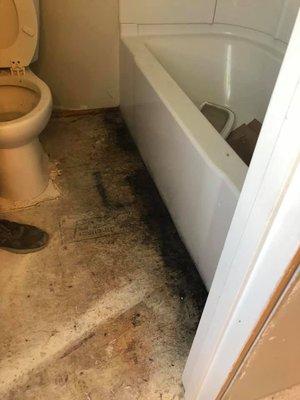 no permits and black mold from  not removing the water soaked flooring.