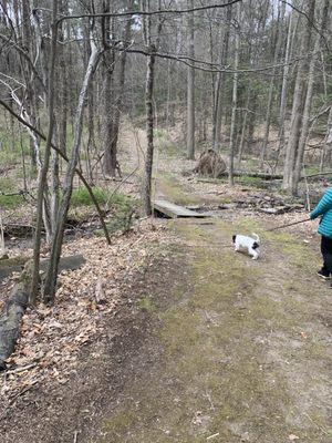 Heading for the first of many foot bridges on the trail.