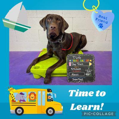 Day Train Pup on his first day of school