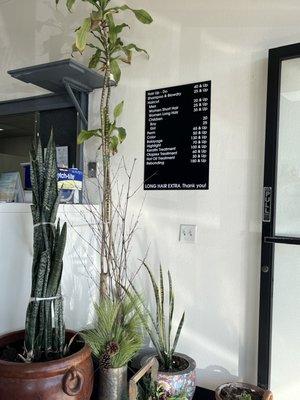 Prices and front door area! Love the plants