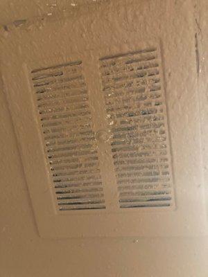 The fan in the bathroom is blocked with a combination of dust and paint!