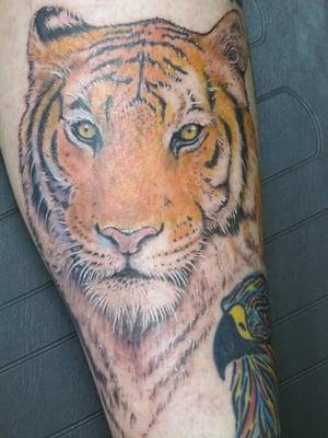 Tiger Portrait Tattoo