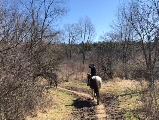 An opportunity to say hi at a bend in the trail.