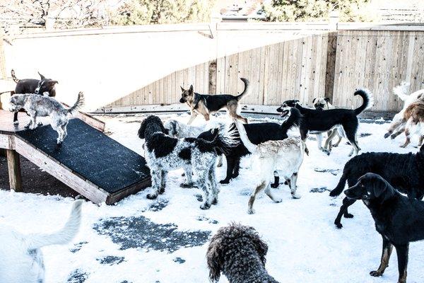 Playing in the outdoor play yards