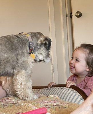 My granddaughter and dog get along just fine, thanks to all of us getting a bit of training.