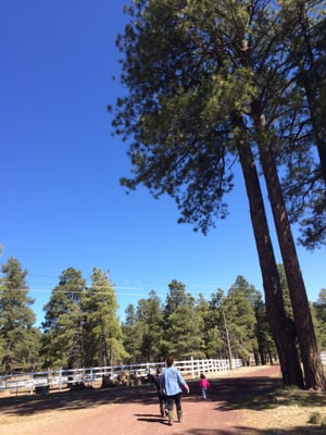 Go for a walk, jog, or run on the Flagstaff Urban trail adjacent The Flying Horse Ranch!