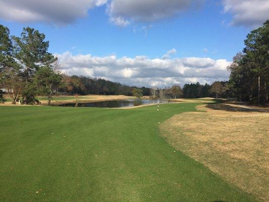 Hole 6- winter rye