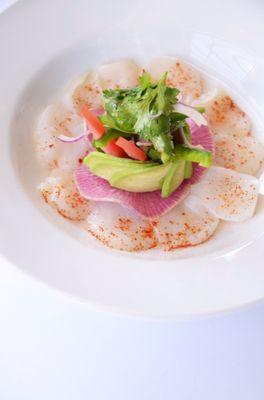 Scallop ceviche