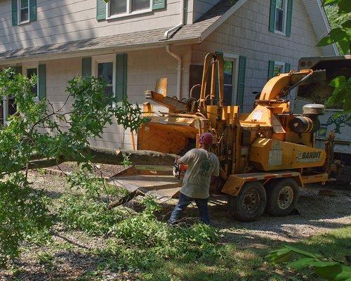 Omni Tree Service | Tree Removal