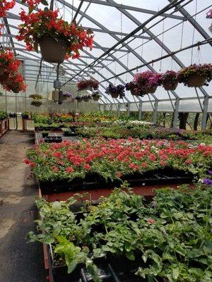 Another greenhouse. I could spend days here!!!