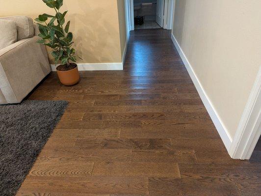 New floors and baseboards