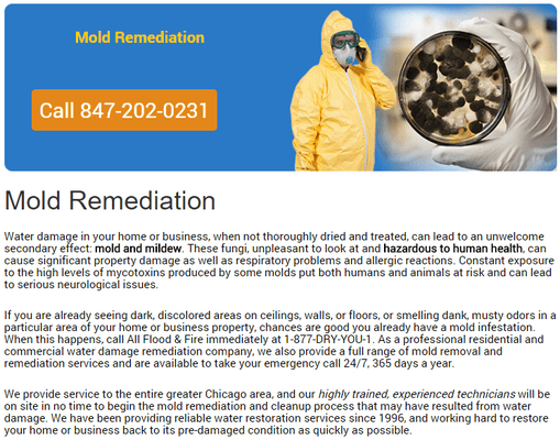 Mold Remediation