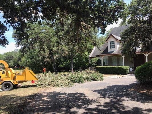 Fair Oaks Ranch Tree Service