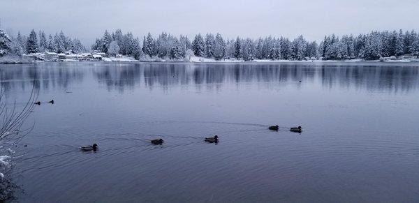 Silver Lake 1-12-2020