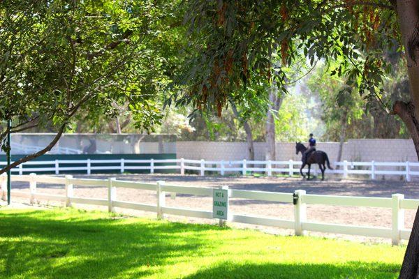 The Paddock Riding Club