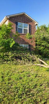 Picked some tree limb from last storm