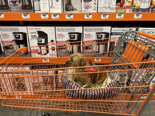 Home Services at the Home Depot