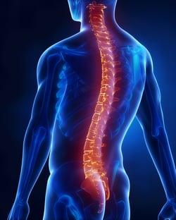 New York Spine and Sports Surgery: Aron D. Rovner, MD | Saddlebrook, NJ