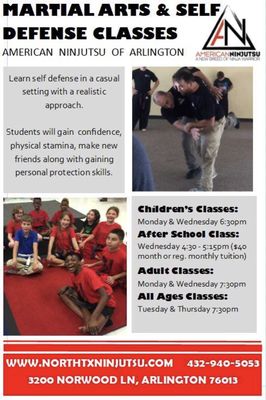 American Ninjutsu of Arlington Program information