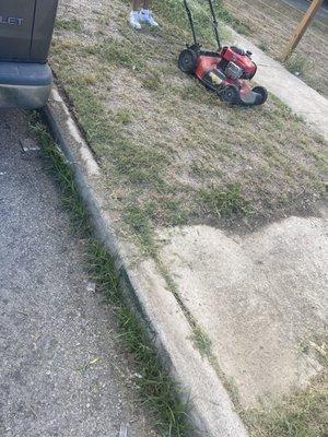 Lawn care