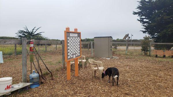 Wood chips aren't our favorite landscape for a dog park