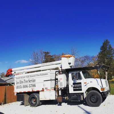 Los Altos Tree Service