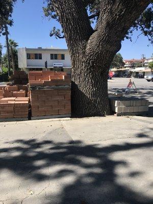 Building supplies, next to the same Valley Oak in the other photos.