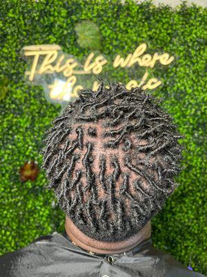 Mini starter locs