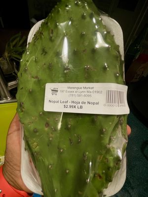 Nopal