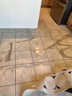 Abracadabra Carpet & Tile Cleaning