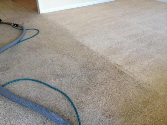 Southwind's Carpet Cleaning Services, side by side comparison