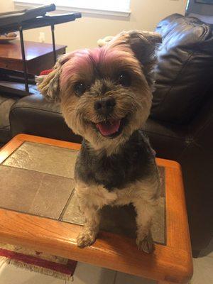 "Daddy says I can sit on this table."
How can you argue with that face?!