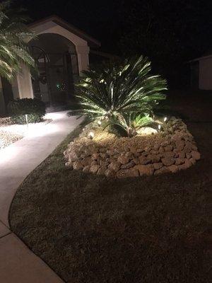 Great use of flood lights for palms