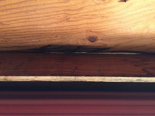 Mold/fungus growing in roof joists.