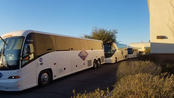 Full fleet of event bus rentals for large groups in Tucson!