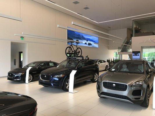 Jaguar Portland