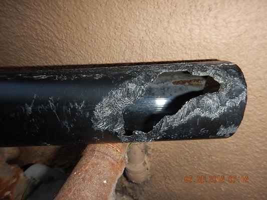 Apple Home Inspection