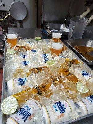 Modelos de botella y latas con hielo y basos con cervesa de gelatina savor piña y coco y lechera para el joven Bryan