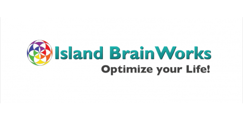 Island BrainWorks