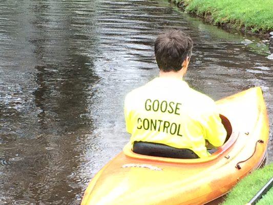 Goose Control