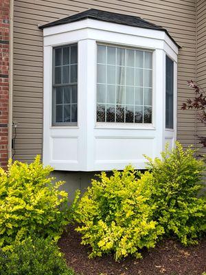 Bay window refurbish.