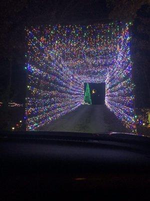 One of many tunnel of lights