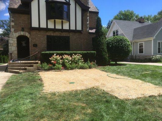 After - see the professional landscaping. You'd never know there was an underground tank here before this.