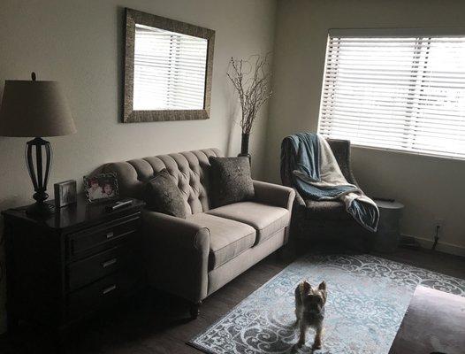 Look at the beautiful laminate wood floors. (Plus pet friendly for my dog, Loki)