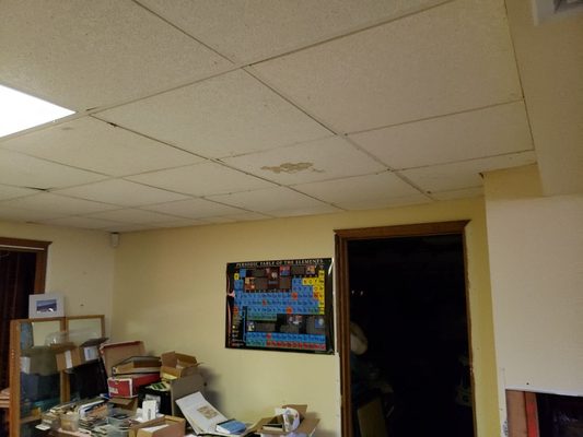 Existing ceiling tiles.