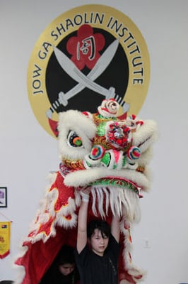 Lion Dance training