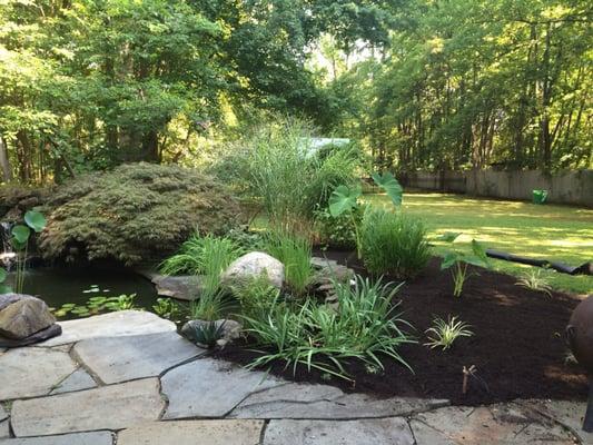 Pond landscaping