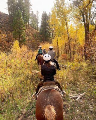 Great time, just in time for the change of seasons. Our guide Roberta was serving us puns the whole time.