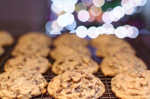 Gourmet chocolate chip cookies